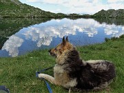87 Bello riposare in riva al lago !